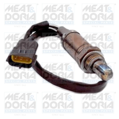 Oxygen Sensor